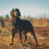 Gordon Setter Diamond Painting