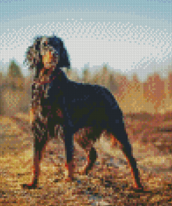 Gordon Setter Diamond Painting