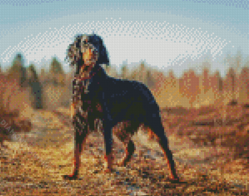 Gordon Setter Diamond Painting