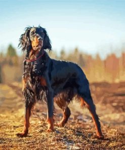 Gordon Setter Diamond Painting