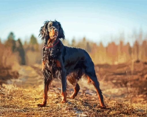 Gordon Setter Diamond Painting