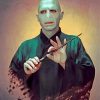 Lord Voldemort Art Diamond Painting