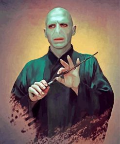 Lord Voldemort Art Diamond Painting