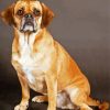 Puggle Dog Diamond Painting