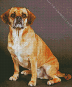 Puggle Dog Diamond Painting