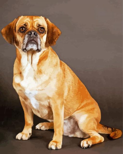 Puggle Dog Diamond Painting