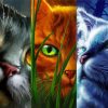 Warrior Cats Diamond Painting