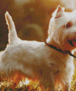 West Highland Terrier Dog Diamond Painting