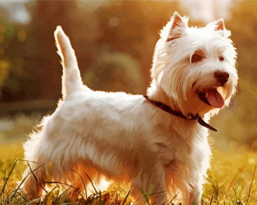 West Highland Terrier Dog Diamond Painting