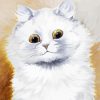 White Fluffy Kitty Diamond Painting