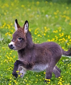 Adorable Mini Donkey Diamond Painting