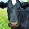 Aesthetic Black Cow Diamond Painting