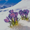 Aesthetic Spring Flower In Snow Diamond Painting