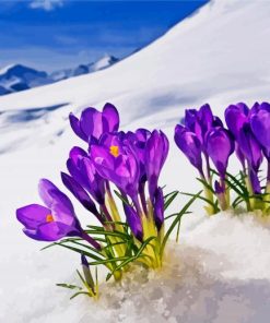 Aesthetic Spring Flower In Snow Diamond Painting