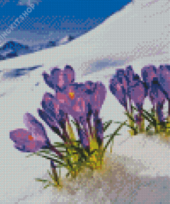 Aesthetic Spring Flower In Snow Diamond Painting