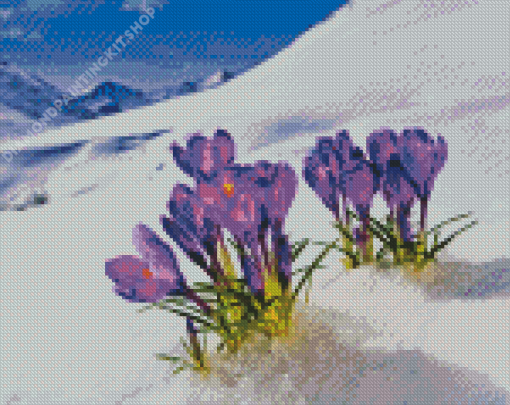 Aesthetic Spring Flower In Snow Diamond Painting