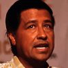 American Activist Cesar Chavez Diamond Painting