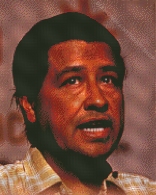 American Activist Cesar Chavez Diamond Paintings