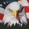 American Eagle With Flag Diamond Painting