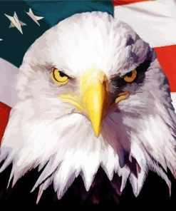 American Eagle With Flag Diamond Painting