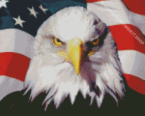 American Eagle With Flag Diamond Painting