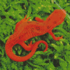 Amphibian Newt Diamond Painting