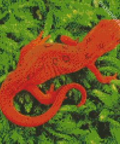 Amphibian Newt Diamond Painting