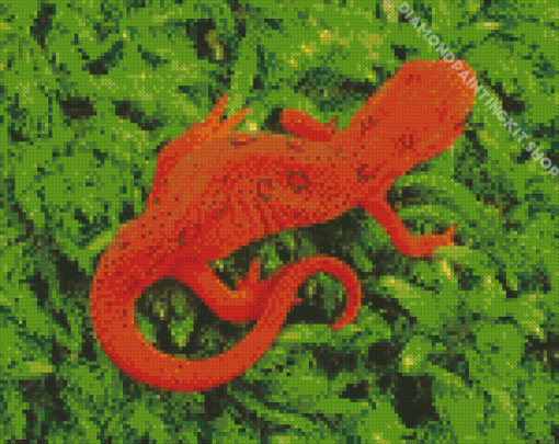 Amphibian Newt Diamond Painting