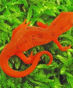 Amphibian Newt Diamond Painting