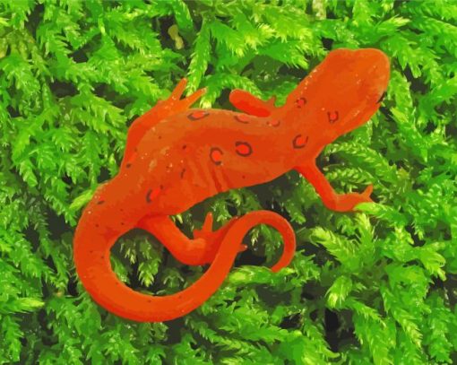 Amphibian Newt Diamond Painting