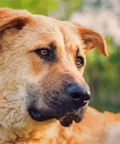 Anatolian Shepherd Dog Diamond Painting