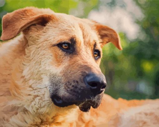 Anatolian Shepherd Dog Diamond Painting