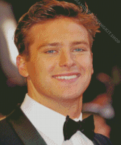 Armie Hammer Diamond Painting