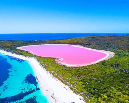 Australia Bubble Gum Pink Lake Diamond Painting