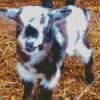 Baby Goat Diamond Painting