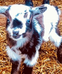 Baby Goat Diamond Painting