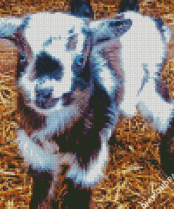 Baby Goat Diamond Painting