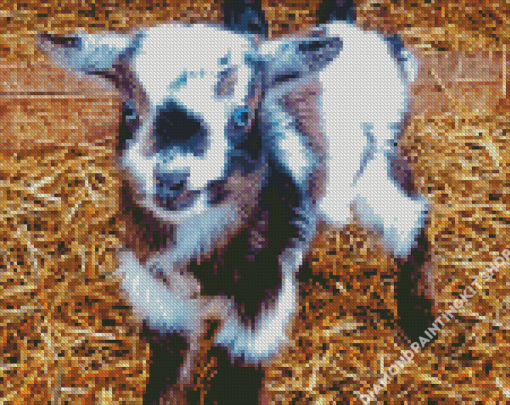 Baby Goat Diamond Painting