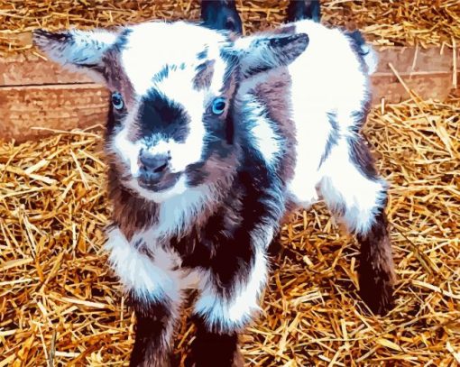 Baby Goat Diamond Painting