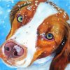 Brittany Spaniel Dog Diamond Painting