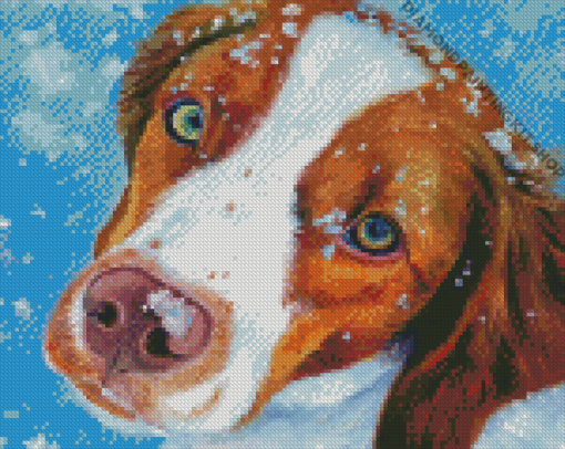 Brittany Spaniel Dog Diamond Painting