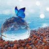 Butterfly With Water Bubble Diamond Painting