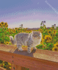 Cat In Sunflowers Field Diamond Painting