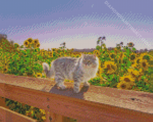 Cat In Sunflowers Field Diamond Painting