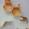 Cats On Wall Diamond Painting