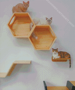 Cats On Wall Diamond Painting