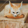 Cute Baby Fennec Fox Diamond Painting