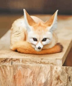 Cute Baby Fennec Fox Diamond Painting