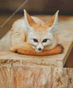 Cute Baby Fennec Fox Diamond Painting