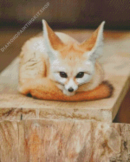 Cute Baby Fennec Fox Diamond Painting